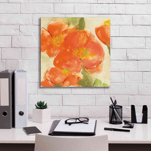 'Tangerine Poppies I' by Chris Paschke, Giclee Canvas Wall Art,18 x 18