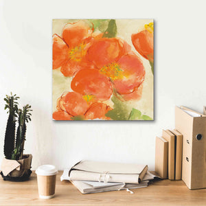 'Tangerine Poppies I' by Chris Paschke, Giclee Canvas Wall Art,18 x 18