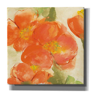'Tangerine Poppies I' by Chris Paschke, Giclee Canvas Wall Art