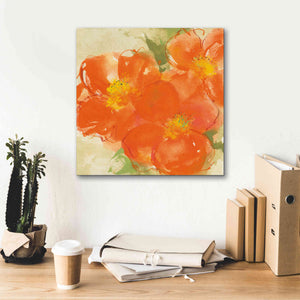 'Tangerine Poppies II' by Chris Paschke, Giclee Canvas Wall Art,18 x 18