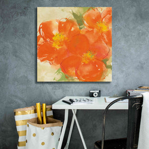 'Tangerine Poppies II' by Chris Paschke, Giclee Canvas Wall Art,26 x 26
