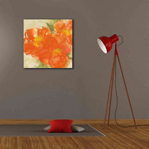 'Tangerine Poppies II' by Chris Paschke, Giclee Canvas Wall Art,26 x 26