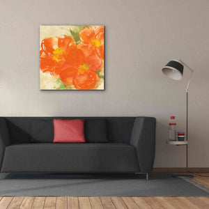 'Tangerine Poppies II' by Chris Paschke, Giclee Canvas Wall Art,37 x 37