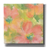 'Summer Cosmos I' by Chris Paschke, Giclee Canvas Wall Art