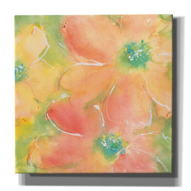 'Summer Cosmos II' by Chris Paschke, Giclee Canvas Wall Art