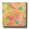 'Summer Cosmos II' by Chris Paschke, Giclee Canvas Wall Art