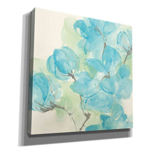 'Arabian Jasmine I' by Chris Paschke, Giclee Canvas Wall Art