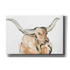 'Longhorn I' by Chris Paschke, Giclee Canvas Wall Art