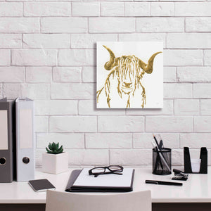 'Gilded Highlander II' by Chris Paschke, Giclee Canvas Wall Art,12 x 12