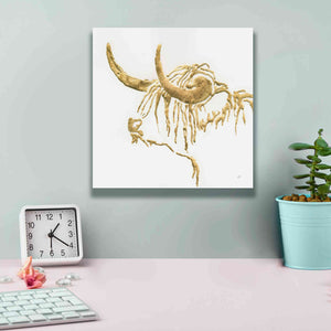 'Gilded Highlander III' by Chris Paschke, Giclee Canvas Wall Art,12 x 12