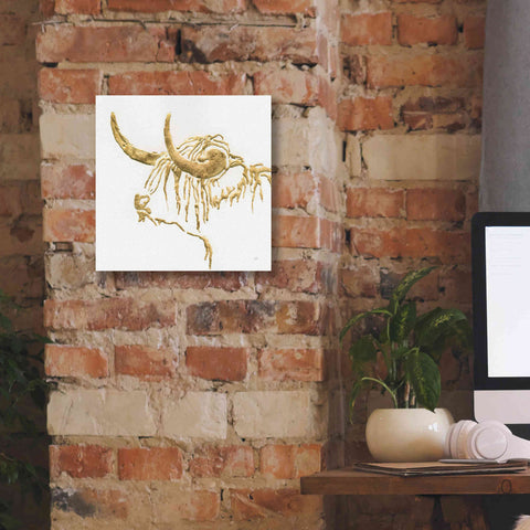 Image of 'Gilded Highlander III' by Chris Paschke, Giclee Canvas Wall Art,12 x 12