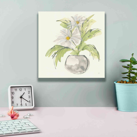 Image of 'Plant Daisy II' by Chris Paschke, Giclee Canvas Wall Art,12 x 12
