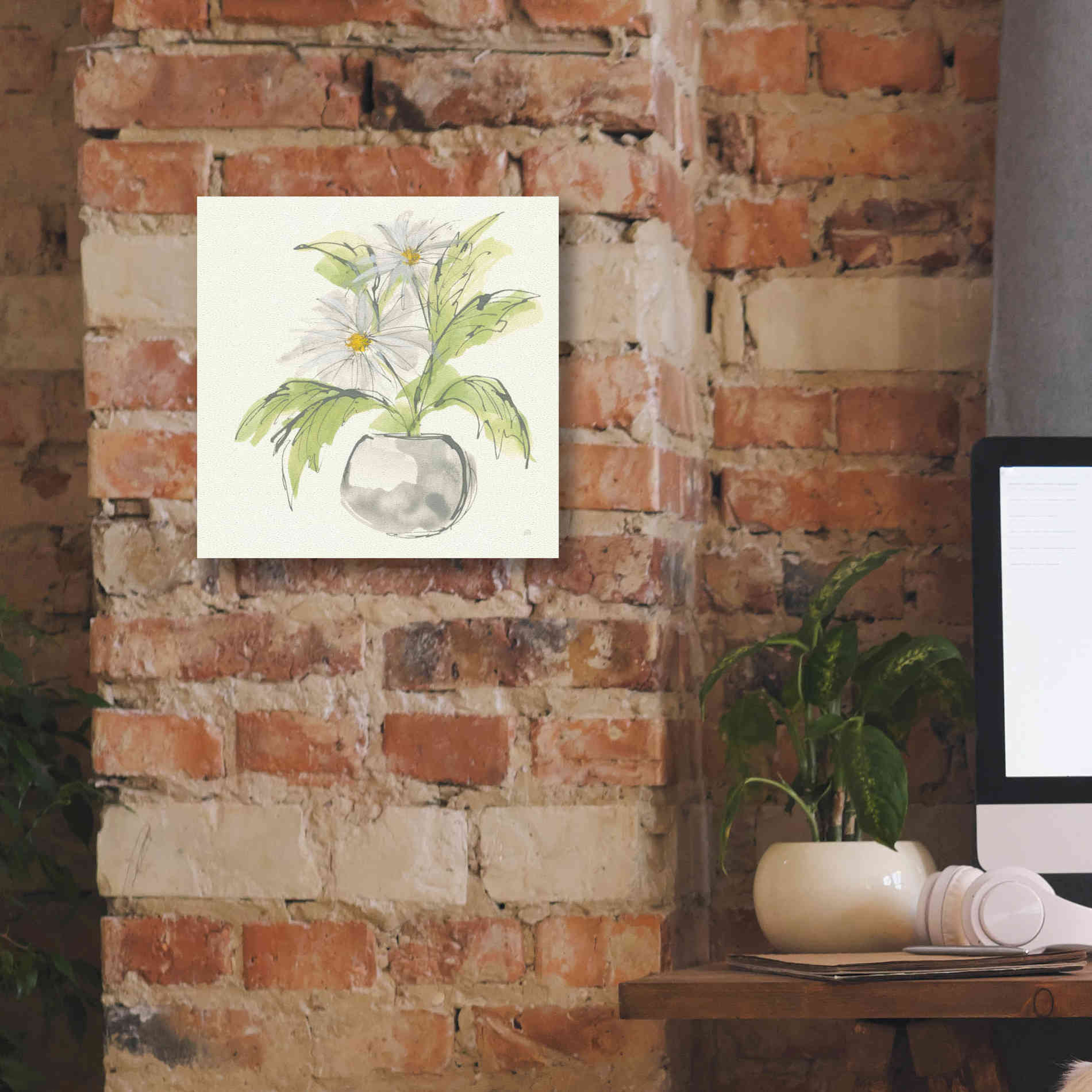 'Plant Daisy II' by Chris Paschke, Giclee Canvas Wall Art,12 x 12