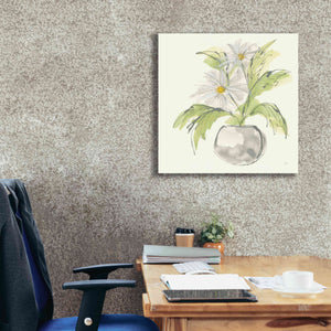 'Plant Daisy II' by Chris Paschke, Giclee Canvas Wall Art,26 x 26