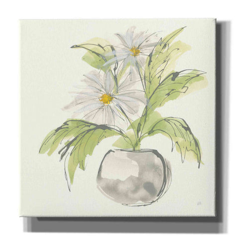 Image of 'Plant Daisy II' by Chris Paschke, Giclee Canvas Wall Art