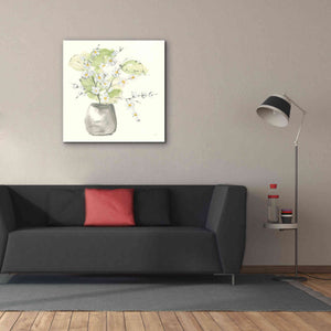 'Plant Blossom I' by Chris Paschke, Giclee Canvas Wall Art,37 x 37