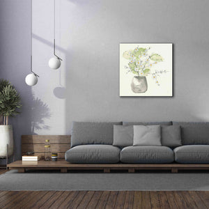 'Plant Blossom I' by Chris Paschke, Giclee Canvas Wall Art,37 x 37