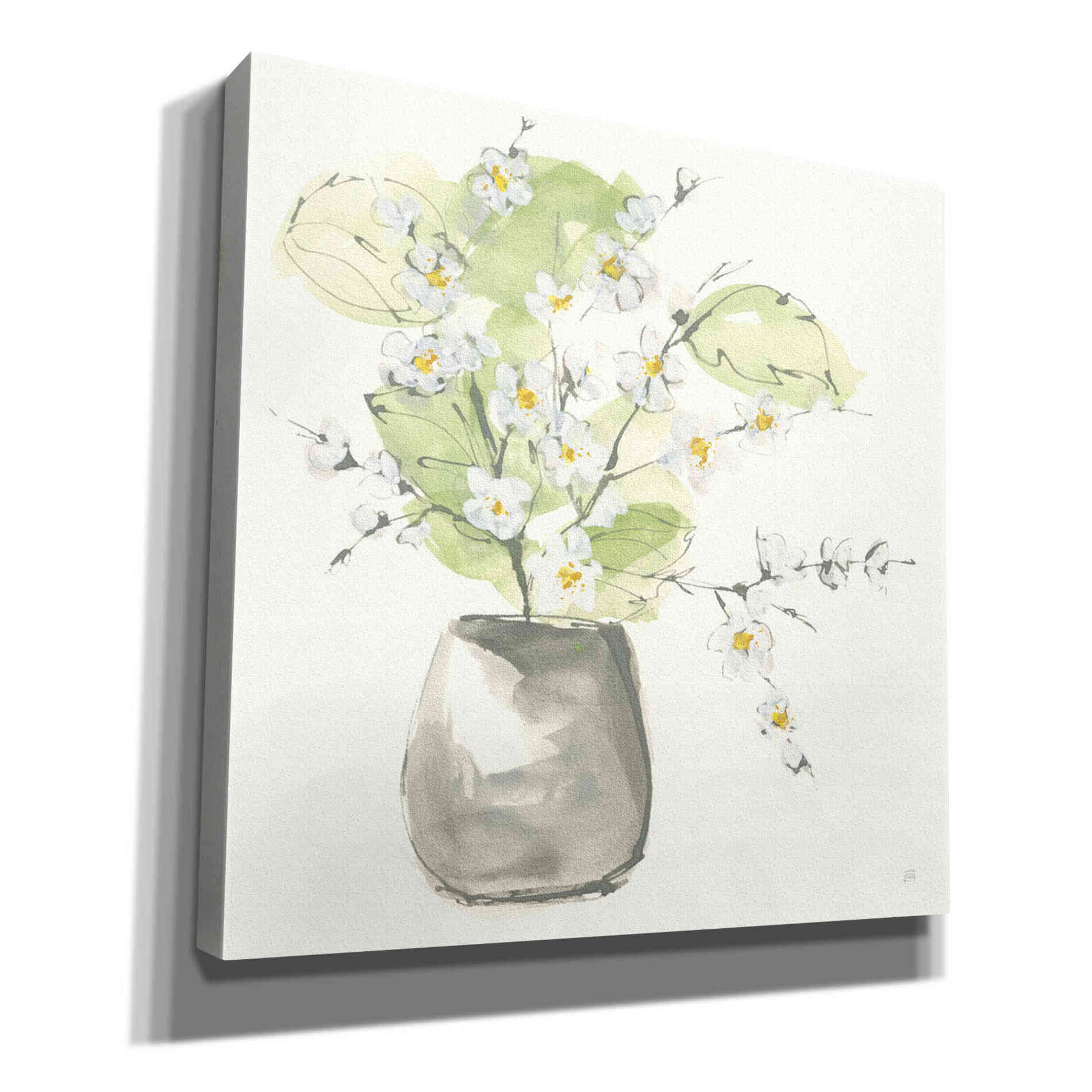 'Plant Blossom I' by Chris Paschke, Giclee Canvas Wall Art
