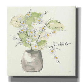 'Plant Blossom I' by Chris Paschke, Giclee Canvas Wall Art
