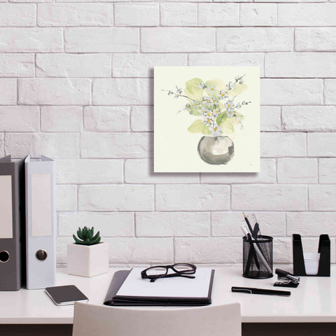 Image of 'Plant Blossom II' by Chris Paschke, Giclee Canvas Wall Art,12 x 12