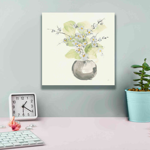 Image of 'Plant Blossom II' by Chris Paschke, Giclee Canvas Wall Art,12 x 12