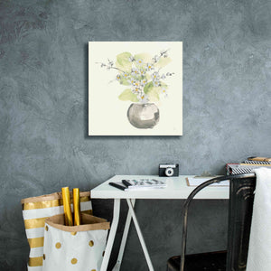'Plant Blossom II' by Chris Paschke, Giclee Canvas Wall Art,18 x 18