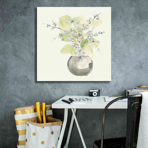 'Plant Blossom II' by Chris Paschke, Giclee Canvas Wall Art,26 x 26