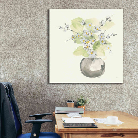 Image of 'Plant Blossom II' by Chris Paschke, Giclee Canvas Wall Art,37 x 37