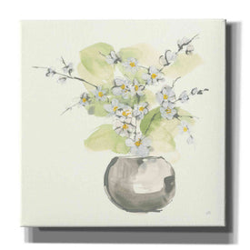 'Plant Blossom II' by Chris Paschke, Giclee Canvas Wall Art