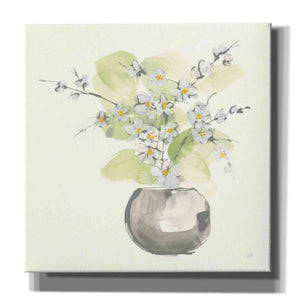 'Plant Blossom II' by Chris Paschke, Giclee Canvas Wall Art