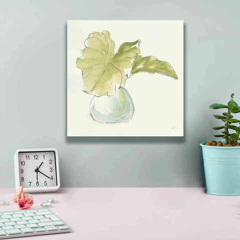 Image of 'Plant Big Leaf I' by Chris Paschke, Giclee Canvas Wall Art,12 x 12