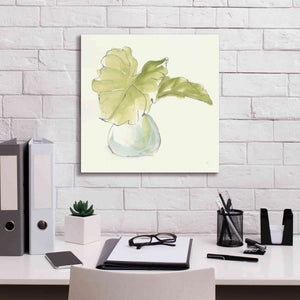 'Plant Big Leaf I' by Chris Paschke, Giclee Canvas Wall Art,18 x 18