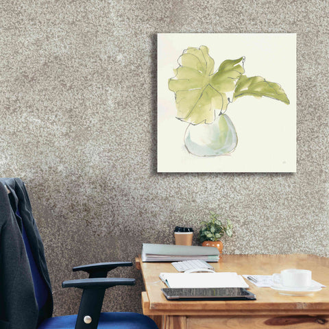 Image of 'Plant Big Leaf I' by Chris Paschke, Giclee Canvas Wall Art,26 x 26