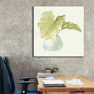 'Plant Big Leaf I' by Chris Paschke, Giclee Canvas Wall Art,37 x 37