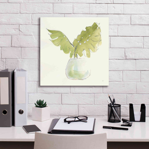 Image of 'Plant Big Leaf II' by Chris Paschke, Giclee Canvas Wall Art,18 x 18