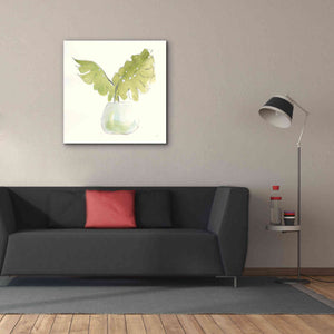 'Plant Big Leaf II' by Chris Paschke, Giclee Canvas Wall Art,37 x 37