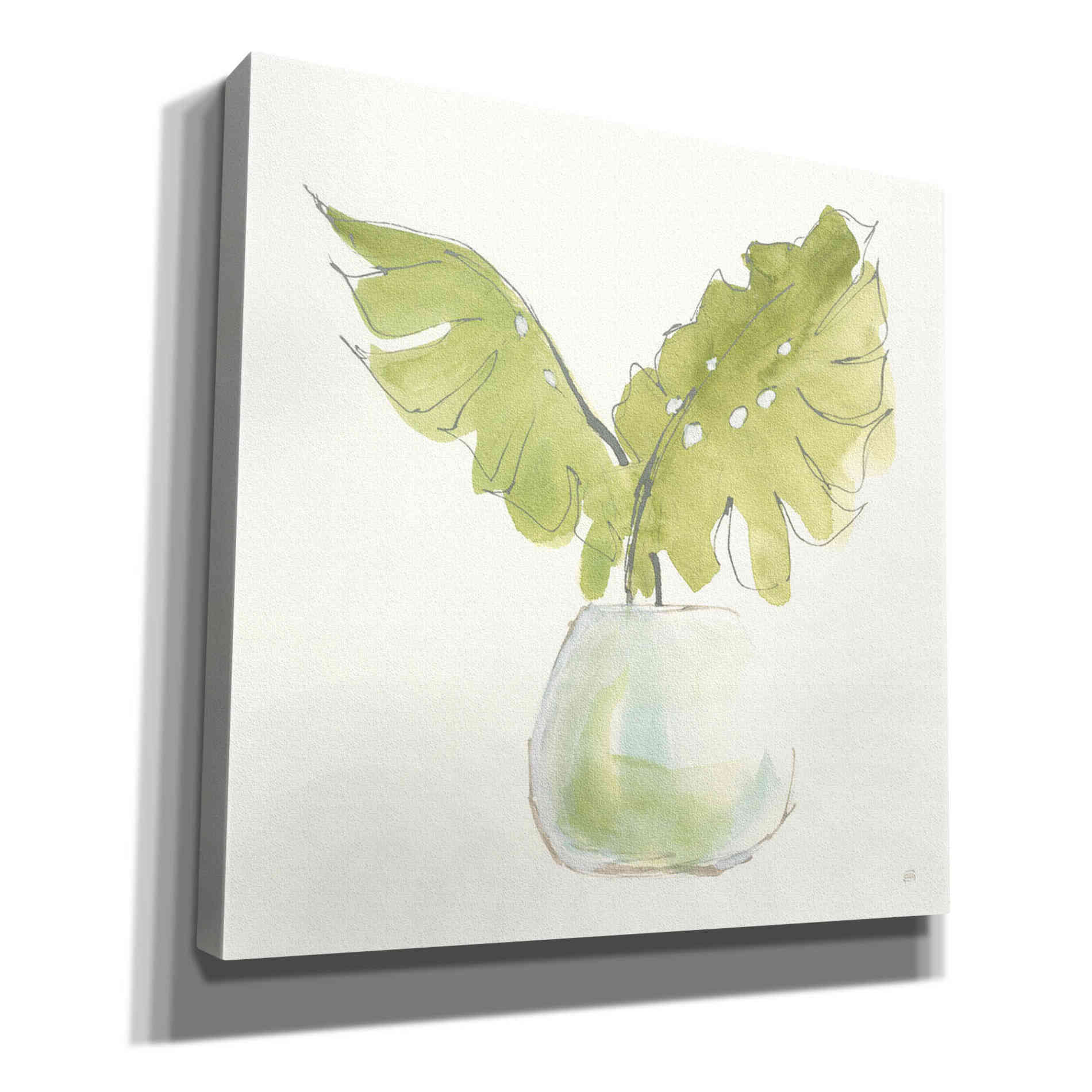 'Plant Big Leaf II' by Chris Paschke, Giclee Canvas Wall Art