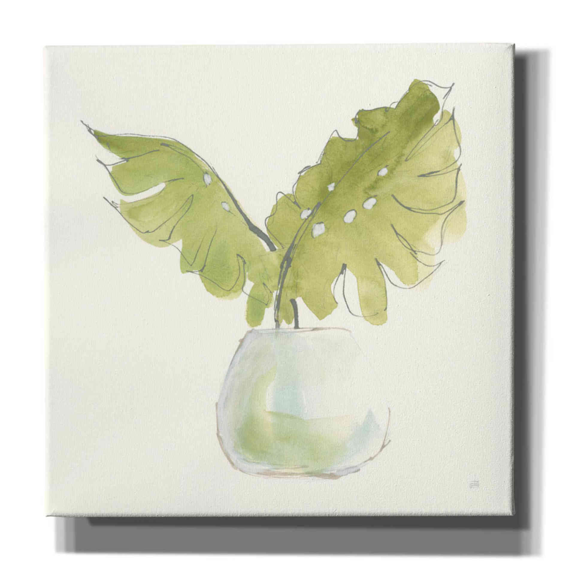 'Plant Big Leaf II' by Chris Paschke, Giclee Canvas Wall Art