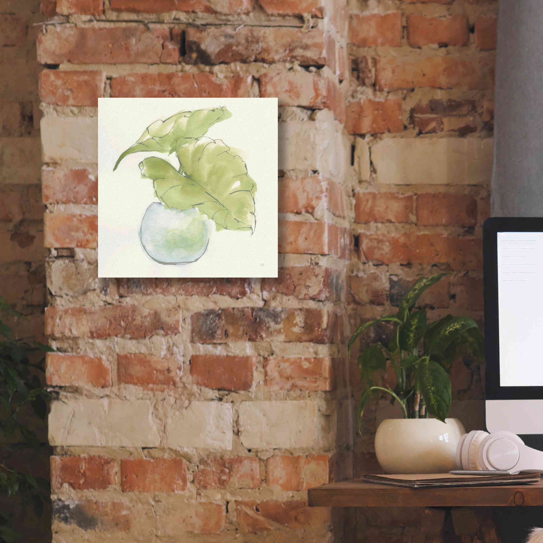 'Plant Big Leaf III' by Chris Paschke, Giclee Canvas Wall Art,12 x 12