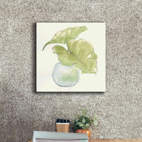 Image of 'Plant Big Leaf III' by Chris Paschke, Giclee Canvas Wall Art,18 x 18