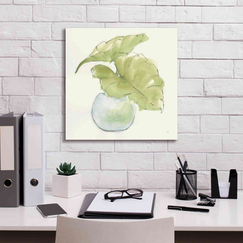 Image of 'Plant Big Leaf III' by Chris Paschke, Giclee Canvas Wall Art,18 x 18