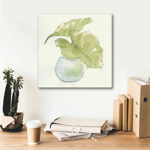 Image of 'Plant Big Leaf III' by Chris Paschke, Giclee Canvas Wall Art,18 x 18