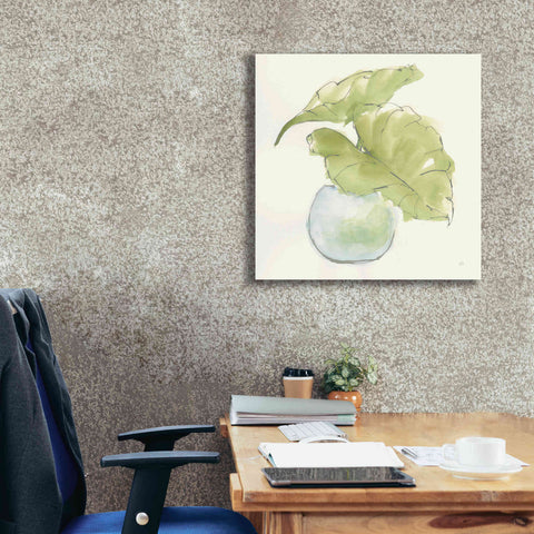 Image of 'Plant Big Leaf III' by Chris Paschke, Giclee Canvas Wall Art,26 x 26