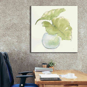 'Plant Big Leaf III' by Chris Paschke, Giclee Canvas Wall Art,37 x 37