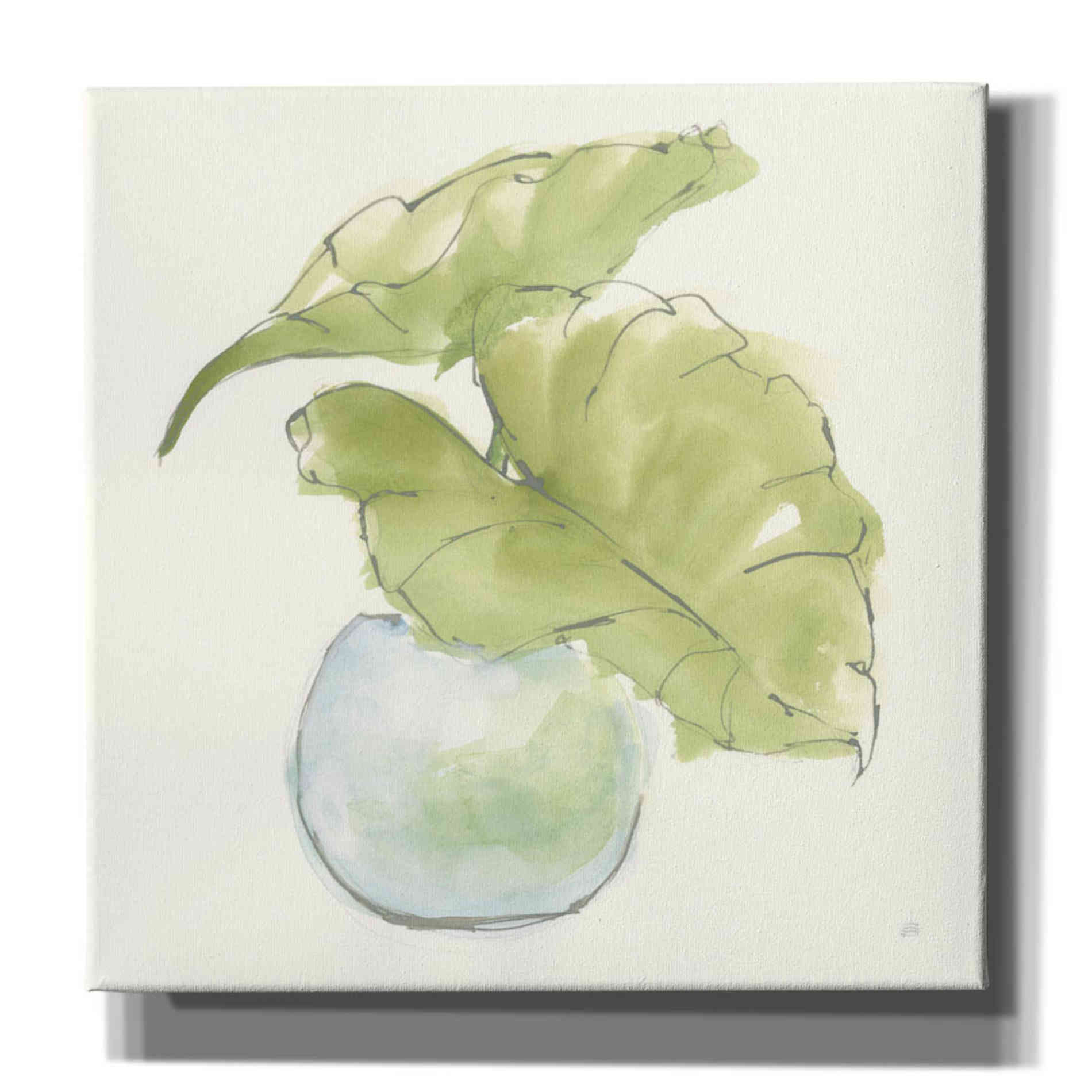 'Plant Big Leaf III' by Chris Paschke, Giclee Canvas Wall Art