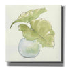 'Plant Big Leaf III' by Chris Paschke, Giclee Canvas Wall Art