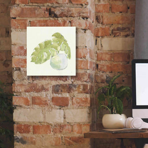 'Plant Big Leaf IV' by Chris Paschke, Giclee Canvas Wall Art,12 x 12