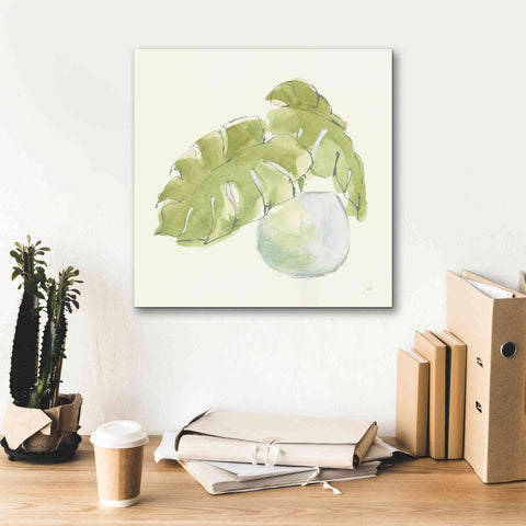 Image of 'Plant Big Leaf IV' by Chris Paschke, Giclee Canvas Wall Art,18 x 18