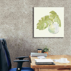 'Plant Big Leaf IV' by Chris Paschke, Giclee Canvas Wall Art,26 x 26