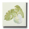 'Plant Big Leaf IV' by Chris Paschke, Giclee Canvas Wall Art